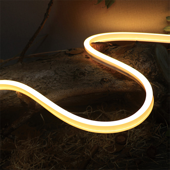 neon led flexbile lights